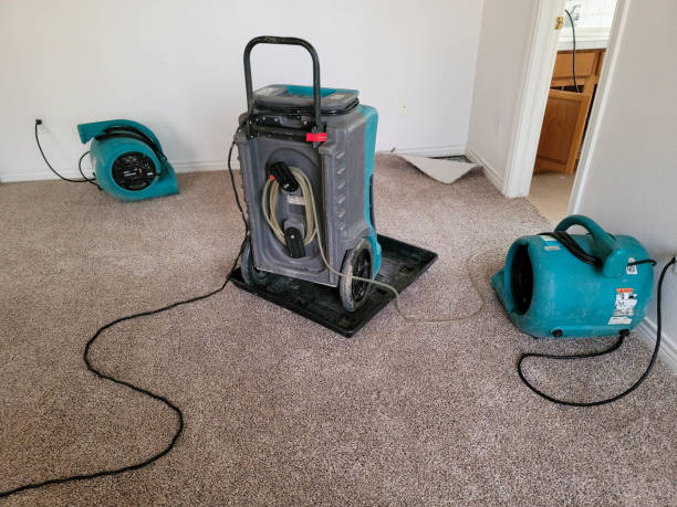 Water damage restoration experts in Elroy, NC