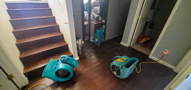 Best Residential water damage restoration  in Elroy, NC