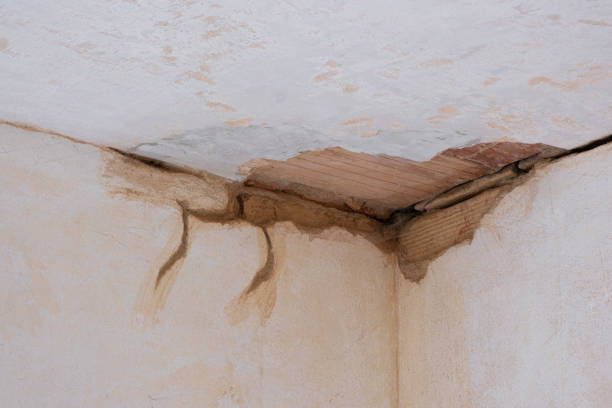 Best Water damage restoration services  in Elroy, NC