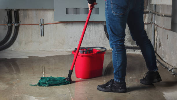 Best Water damage cleanup near me  in Elroy, NC
