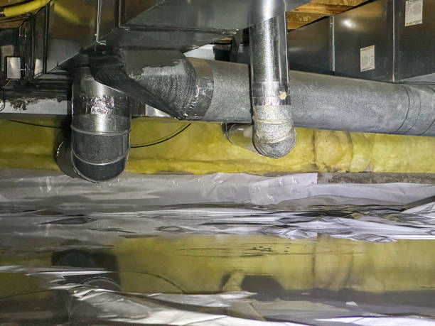 Best Sewage cleanup and water damage restoration  in Elroy, NC
