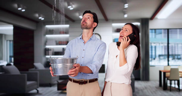 Best Flooded house restoration  in Elroy, NC