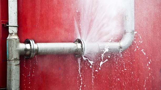  Elroy, NC Water damage restoration Pros